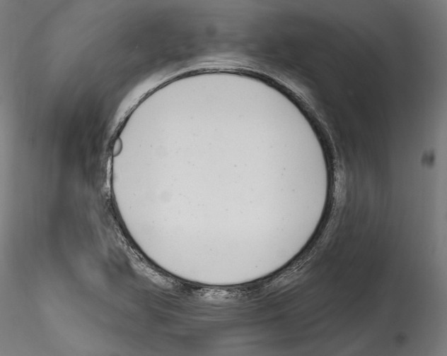 X0000114571366200911301302