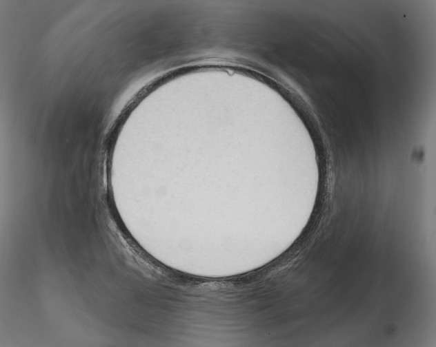 X0000114571368200911301302