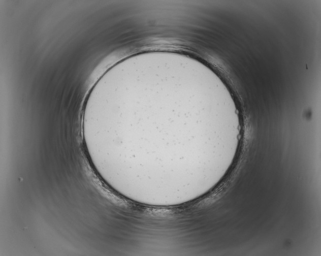 X0000114571370200911301302