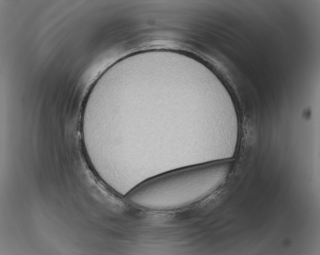 X0000114571373200911301302