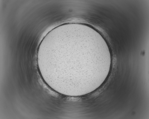 X0000114571374200911301302