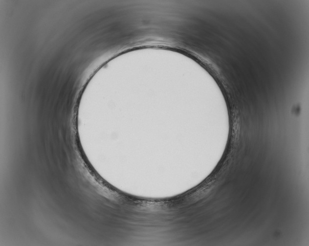 X0000114571375200911301302