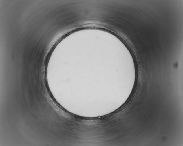 X0000114571376200911301302