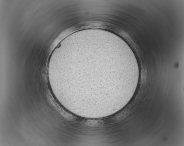 X0000114571378200911301302