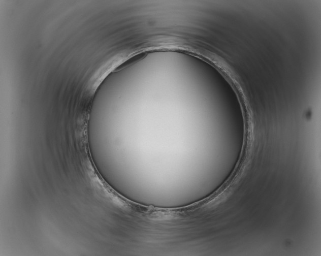 X0000114571385200911301301