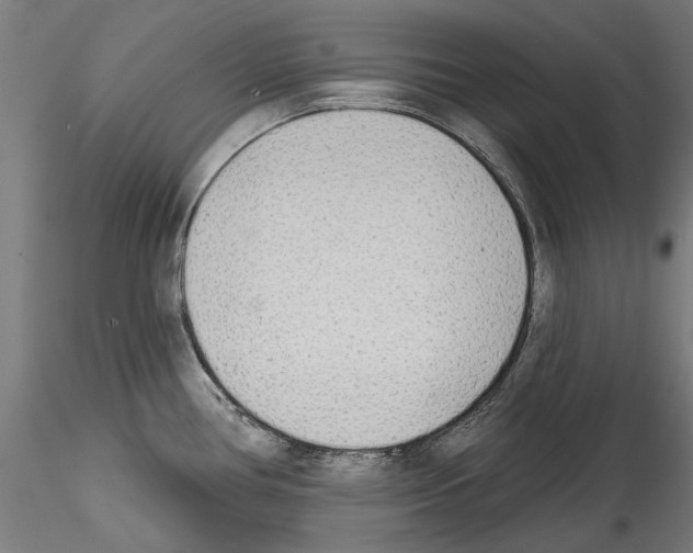 X0000114571386200911301301