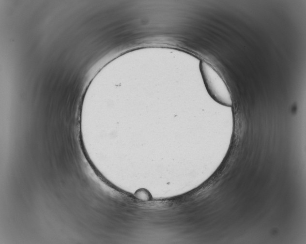 X0000114571387200911301301