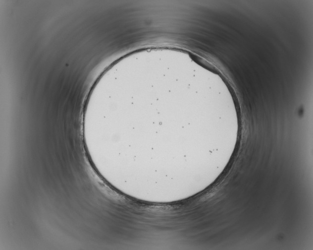 X0000114571388200911301301