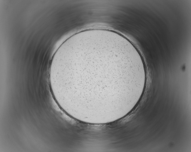 X0000114571390200911301301