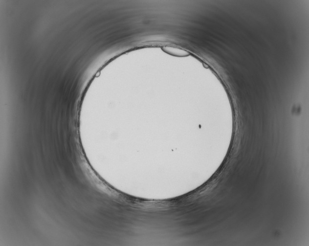 X0000114571392200911301301