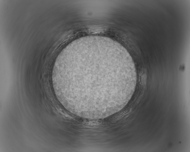 X0000114571393200911301301