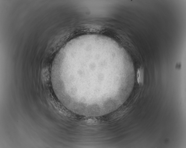 X0000114571395200911301301