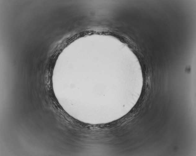 X0000114571398200911301301