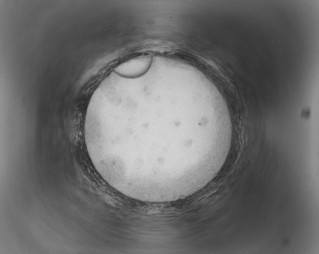 X0000114571399200911301301