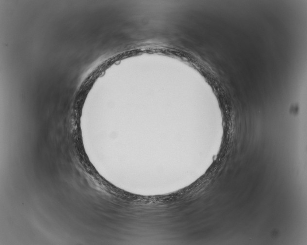 X0000114571400200911301301