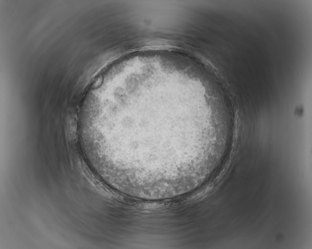 X0000114571401200911301301