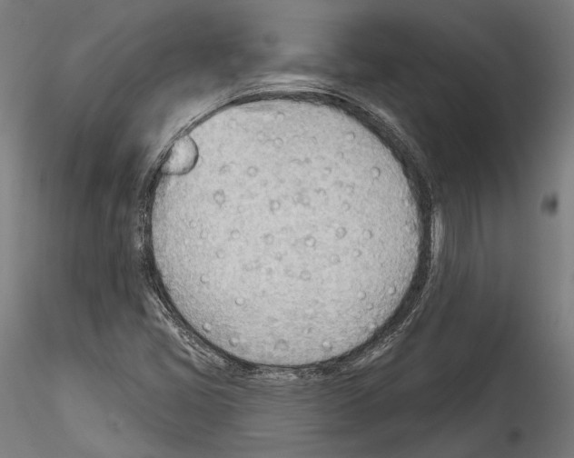 X0000114571405200911301301