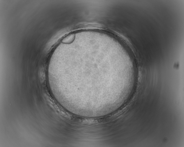 X0000114571407200911301301