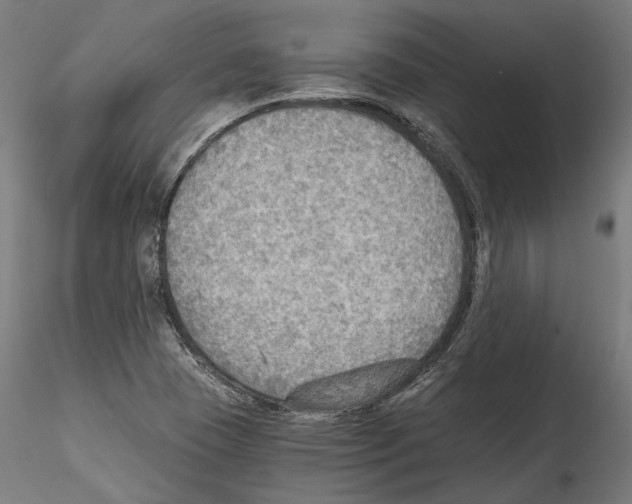 X0000114571409200911301301