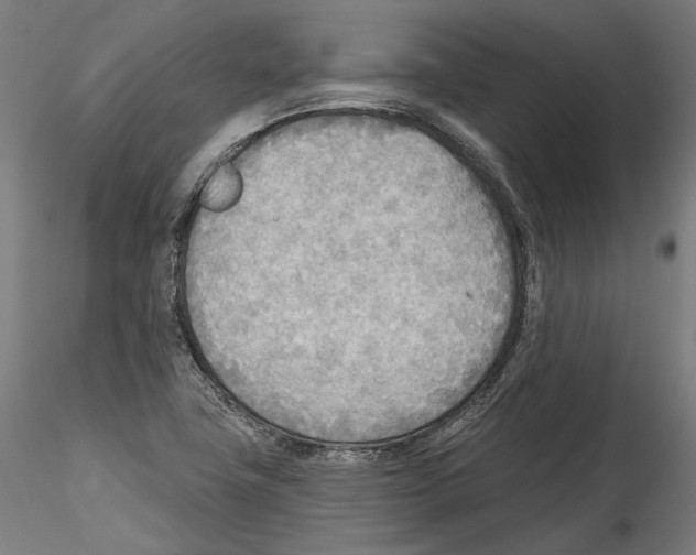 X0000114571411200911301301