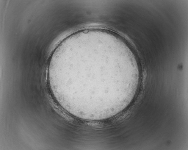 X0000114571413200911301301