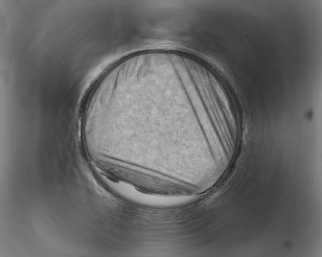 X0000114571414200911301301