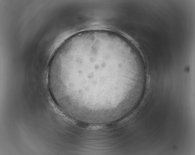 X0000114571415200911301301