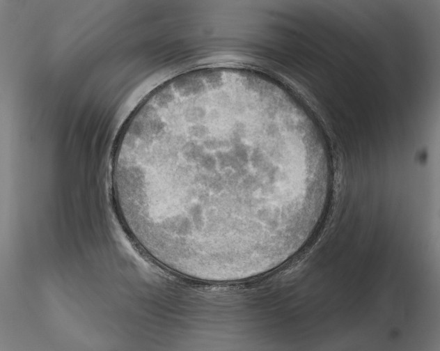 X0000114571418200911301301