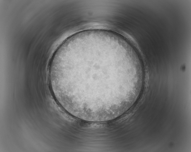 X0000114571419200911301301