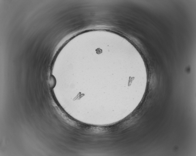 X0000114571420200911301301