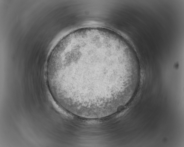 X0000114571421200911301301