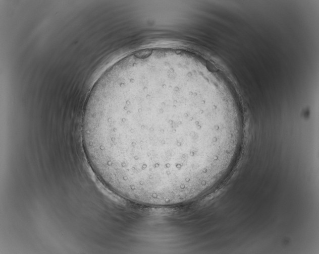 X0000114571425200911301301