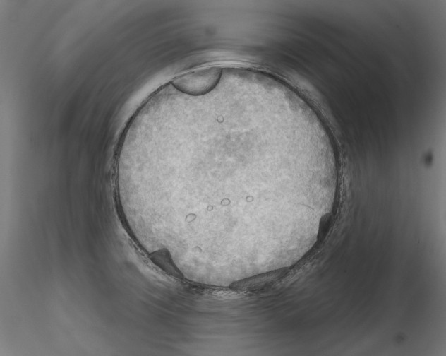 X0000114571427200911301301