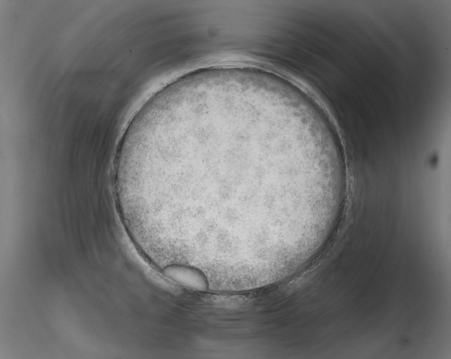 X0000114571429200911301301