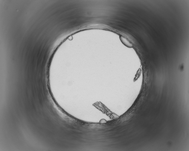 X0000114571430200911301301