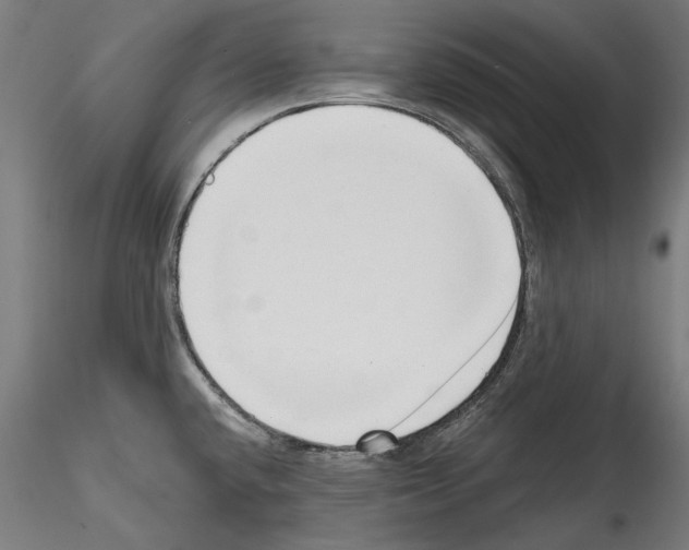 X0000114571432200911301301