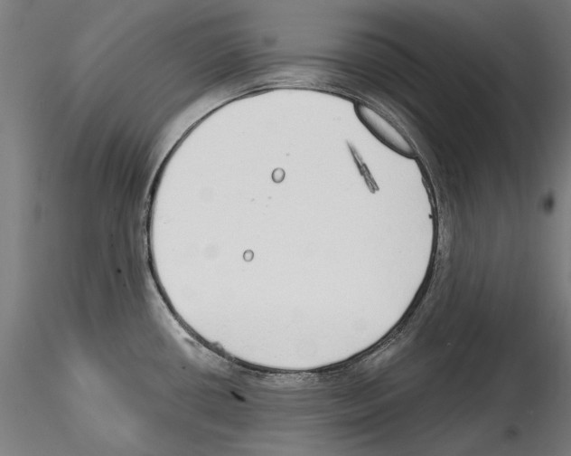 X0000114571434200911301301