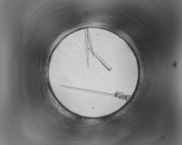 X0000114571436200911301301