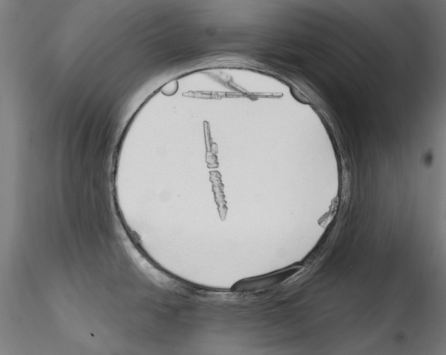 X0000114571438200911301301