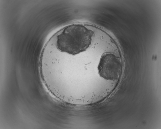 X0000114571440200911301301