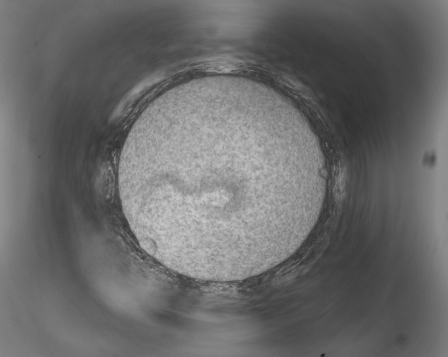 X0000114571446200911301301