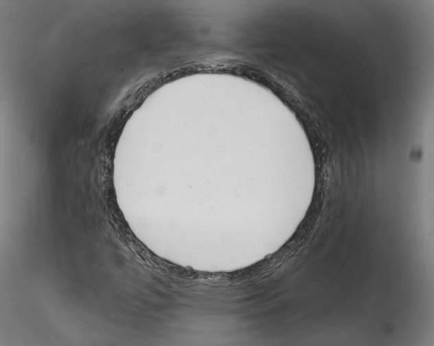 X0000114571447200911301301