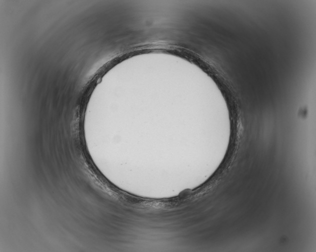 X0000114571450200911301301