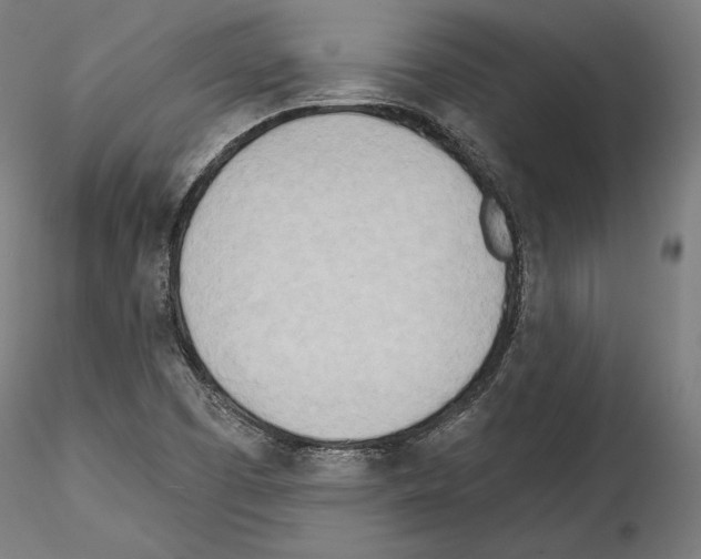 X0000114571457200911301300