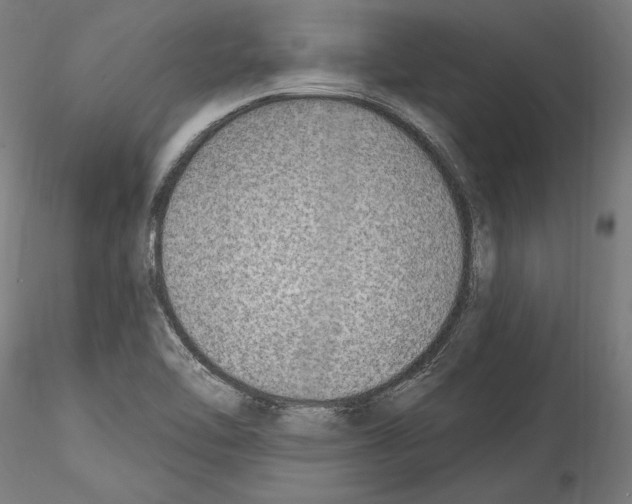 X0000114571462200911301300