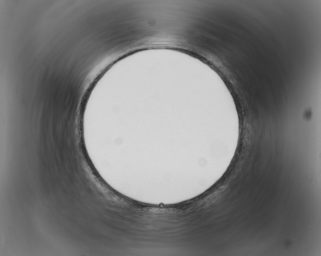 X0000114571469200911301300