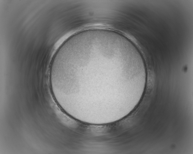 X0000114571474200911301300