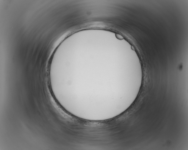 X0000114571475200911301300