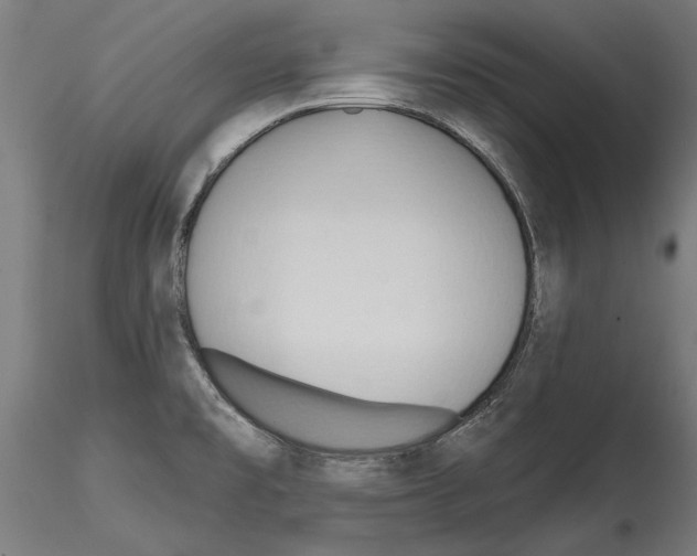 X0000114571477200911301300