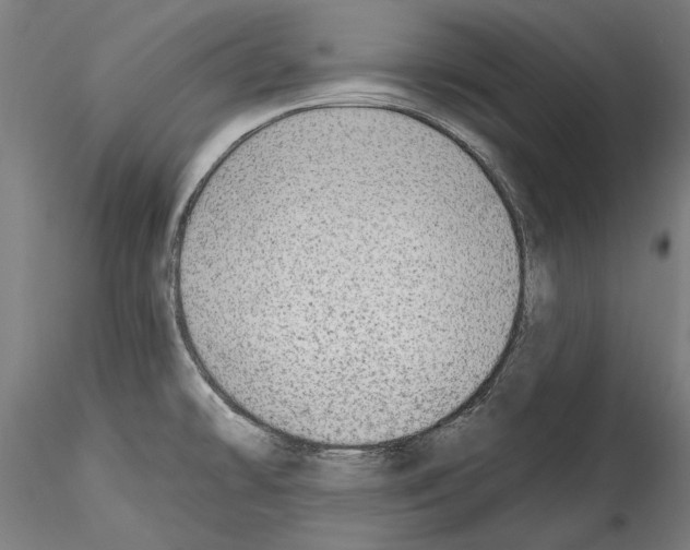 X0000114571478200911301300